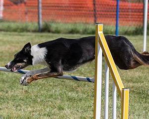 20200819-0677.jpg