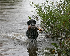 20130921-WCXW-0390.jpg