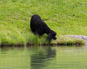 20260516-WCXW-0007.jpg