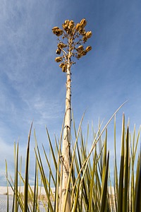 20151209-0131.jpg