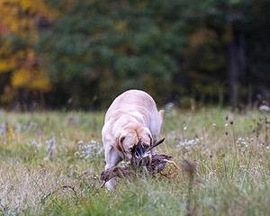 20211010-WCXL-0057.jpg