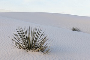 White Sands National Monument, New Mexico