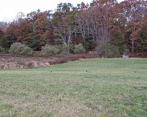 20131027-C-0009.jpg