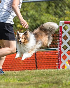 20200819-1235.jpg