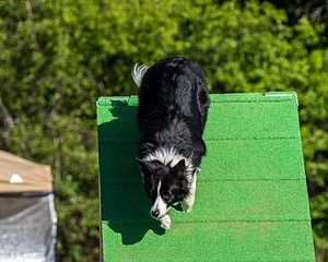 20160619-CCKC-0110.jpg