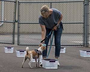 20260718-NSKC-0359.jpg