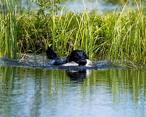 20260726-SHW-0010.jpg