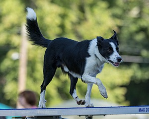 20220917-PVKC-0940.jpg