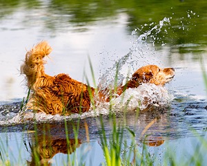 20160604-SEAW-1003.jpg