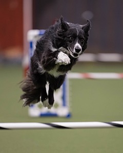 Breeze Schunk