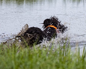 Ghillie Kezer