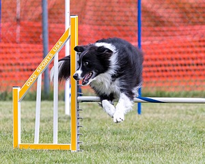 20200819-1897.jpg