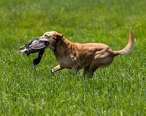 20240720-MH1-0650.jpg