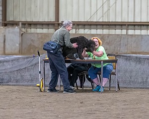 20190513-AG-0598.jpg