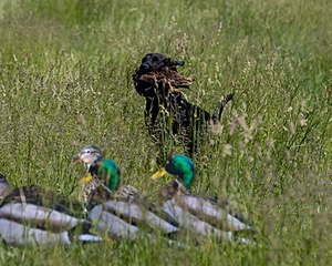 20210606-SEAL-1551.jpg