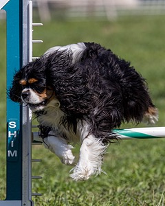 Mo McCormick