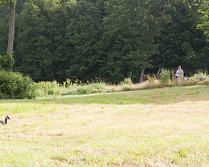 20130810-C-0005.jpg