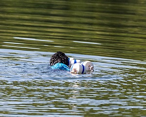 Boaty Bellicose