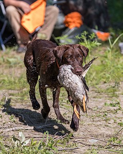 Tucker Copeland