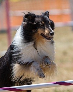 20160618-CCKC-1706.jpg