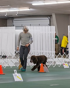 20190514-RA-0246.jpg