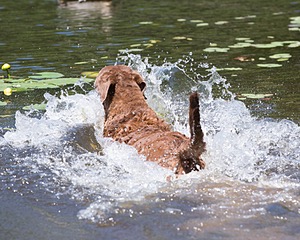 20130602-SEAW-0514.jpg