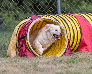 20200819-1884.jpg