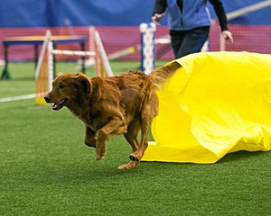 20150322-LEAP-0653.jpg