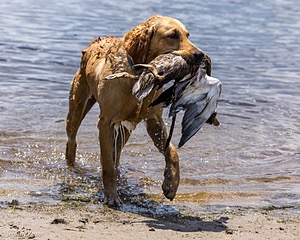 20220613-WCW-0050.jpg