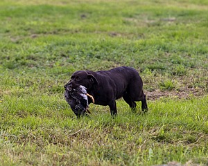 Winnie Patterson