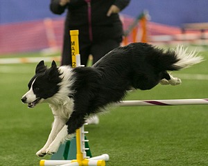 20150321-LEAP-1482.jpg