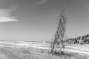 Yellowstone National Park