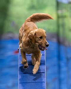 20260221-0856.jpg