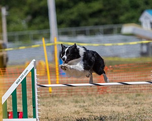 20160619-CCKC-1334.jpg