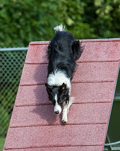 20200819-0605.jpg