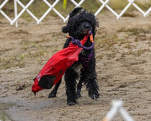 20210912-MWD-0135.jpg