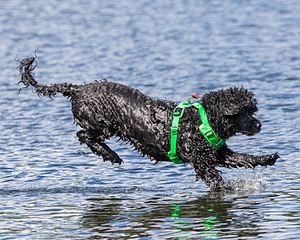 20170820-CWD-0023.jpg