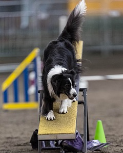 Breeze Schunk