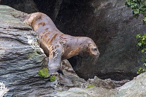 20260326-0067.jpg