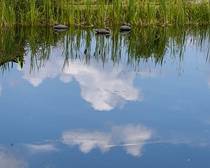 20260726-C-0010.jpg