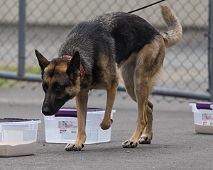 20260718-NSKC-0419.jpg