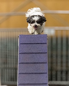 Penelope Watson