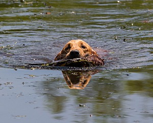 20130714-MHB2-0060.jpg