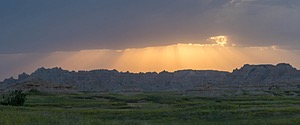 20200616-0268.jpg