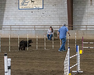 20190513-AG-0120.jpg