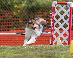20200819-1088.jpg