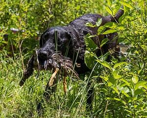 20170716-WCXW-1227.jpg
