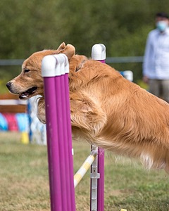 20200819-1337.jpg
