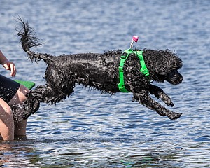 20170820-CWD-0022.jpg