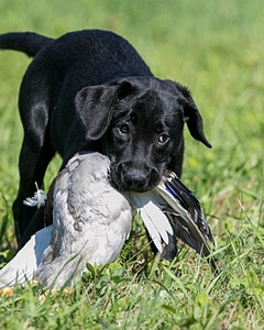 20150912-C-0038.jpg